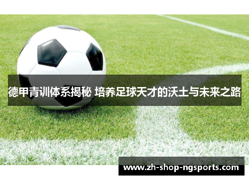 德甲青训体系揭秘 培养足球天才的沃土与未来之路